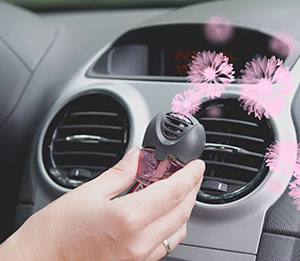 buy car perfumes